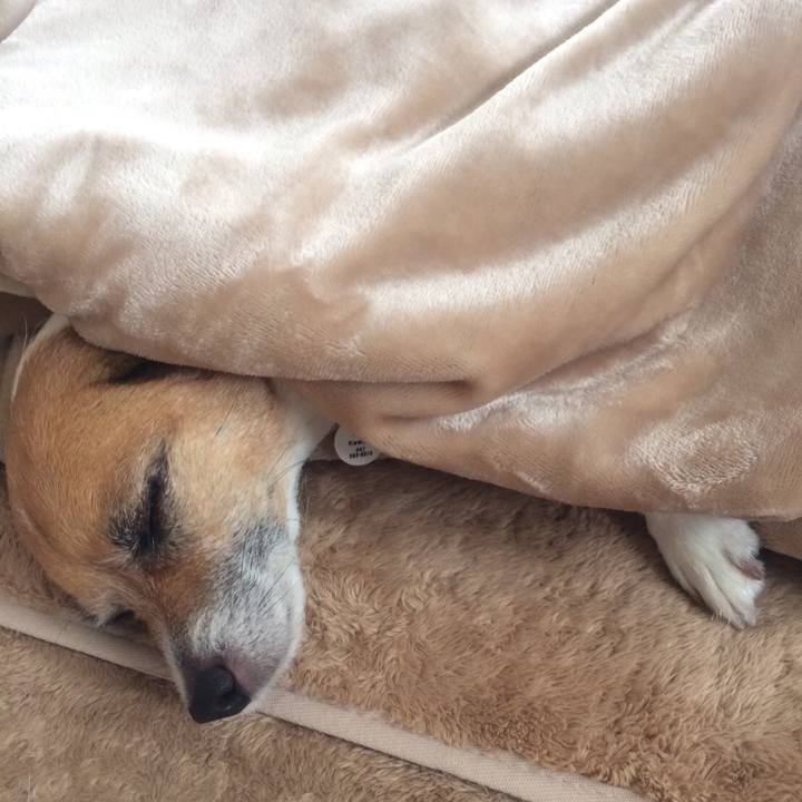 12625106 fce2 440a ba84 02cb3e553bdf