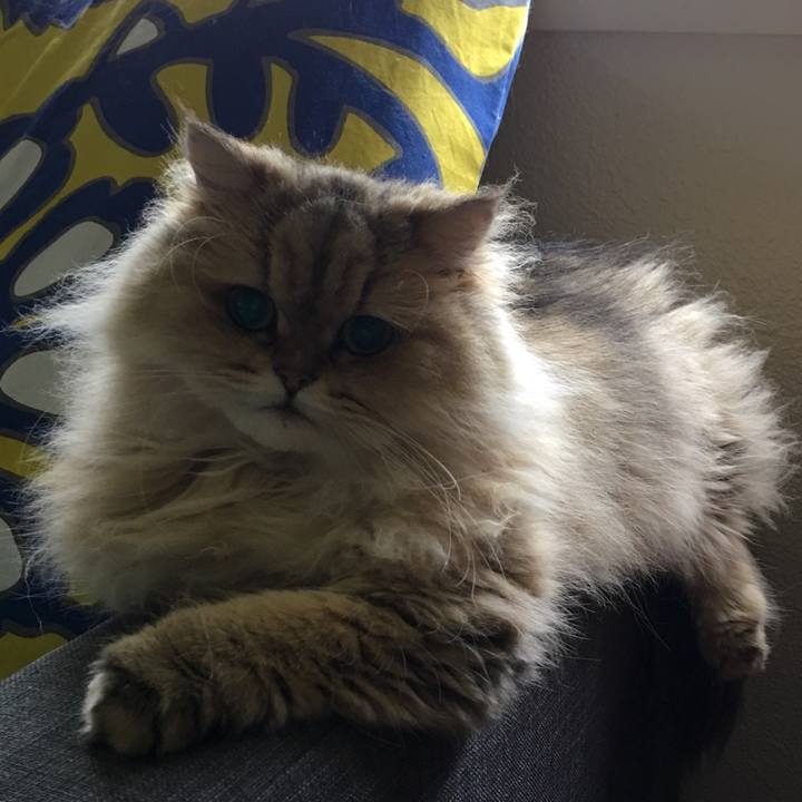 1262688c d95a 4bbc 9e58 9675df4fc599