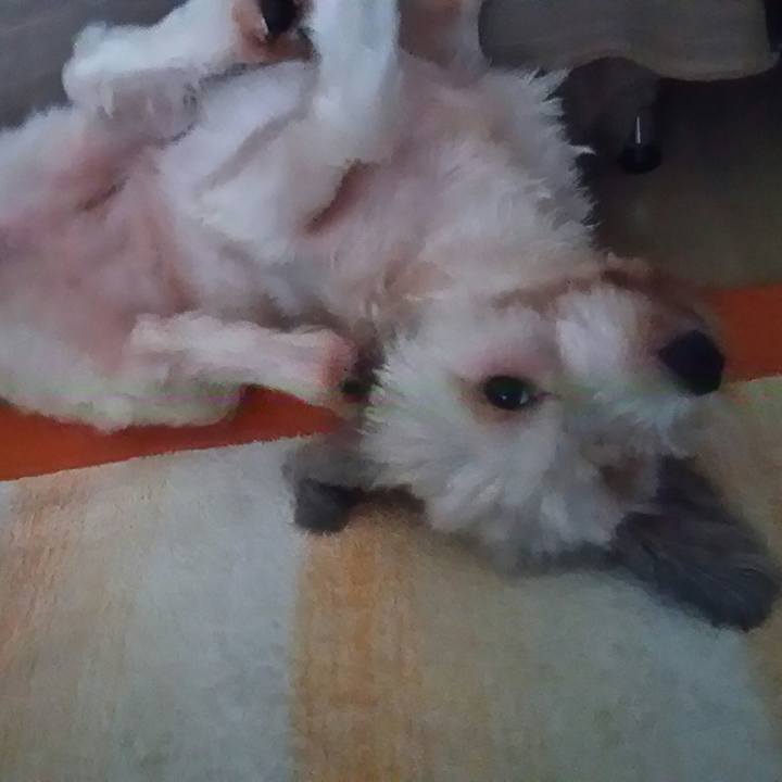 126299de 7185 44d1 a60d 88ee1f55a806