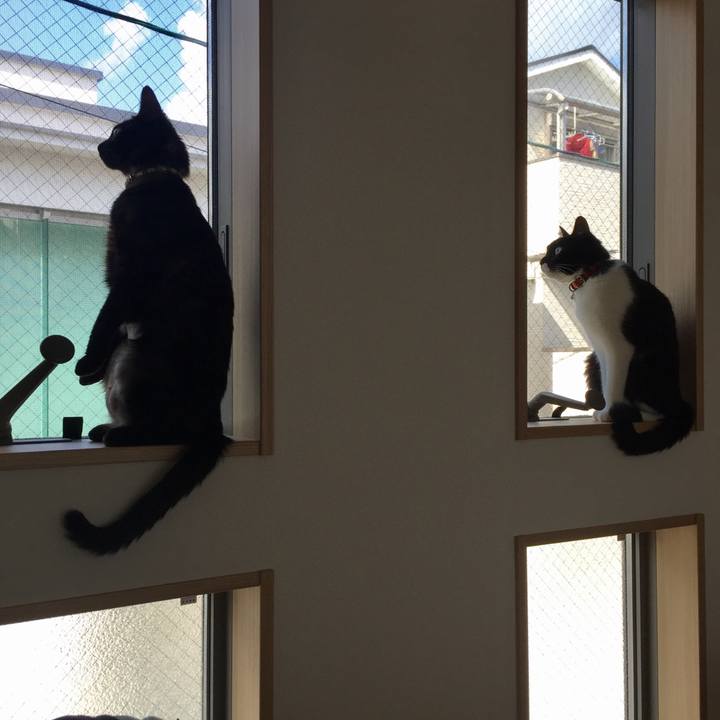 1262b85b f01e 4325 a2f4 1bc0586db572