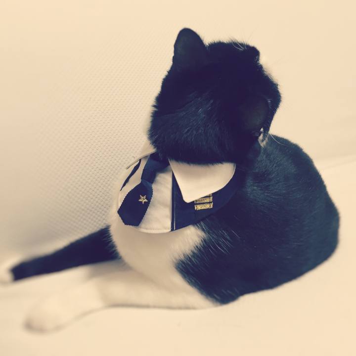 1262bab2 76ac 4c3c a2d6 c1dd49aa214e