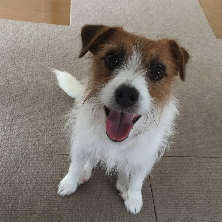 1262d516 69ff 4faf 8bb1 3396d7513530