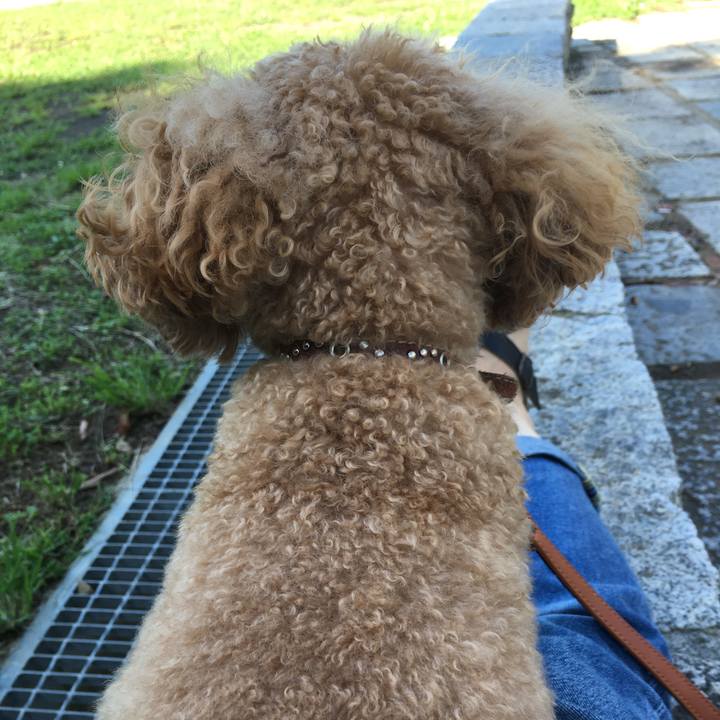 12635bde 8a9a 4aa8 a032 0298e9ec0a18