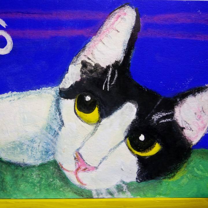 1263647e 1c85 4471 a967 c8066768e6a8