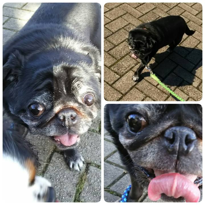 12638b75 ec4a 45fd 846c 66694f41587c