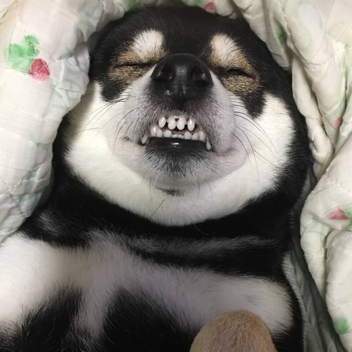 12638f75 0f5d 4ba8 a4f6 c8c864ecbbd3