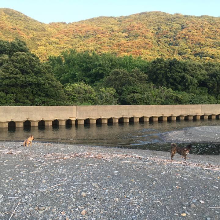 1263dcea 4e83 4b1a a05b 1ada82a9a870