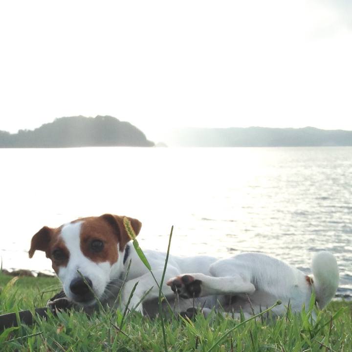 1263e4e0 37d5 4a81 b5a9 b67c15aee495