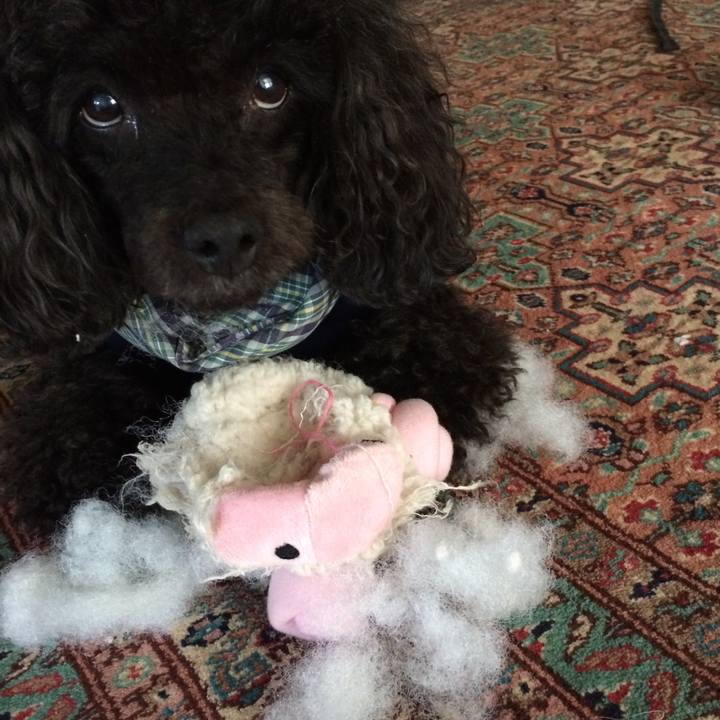 12640eec a345 4328 9fce 2fc7b3fa2bb7