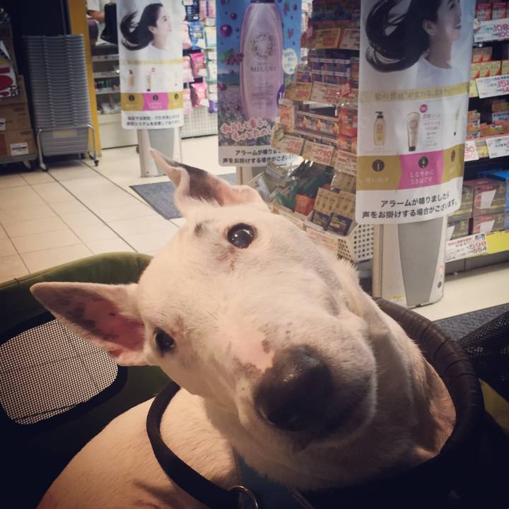 1264e299 ee18 48cb 98f6 6fddb416bd1a