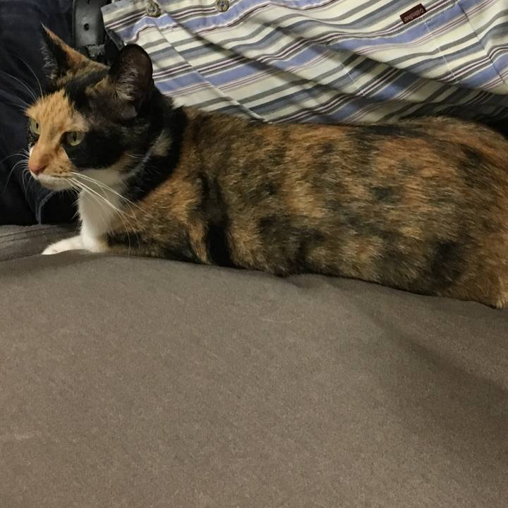 1266b75a 1ba6 4e4d b85a ed875fae02c8