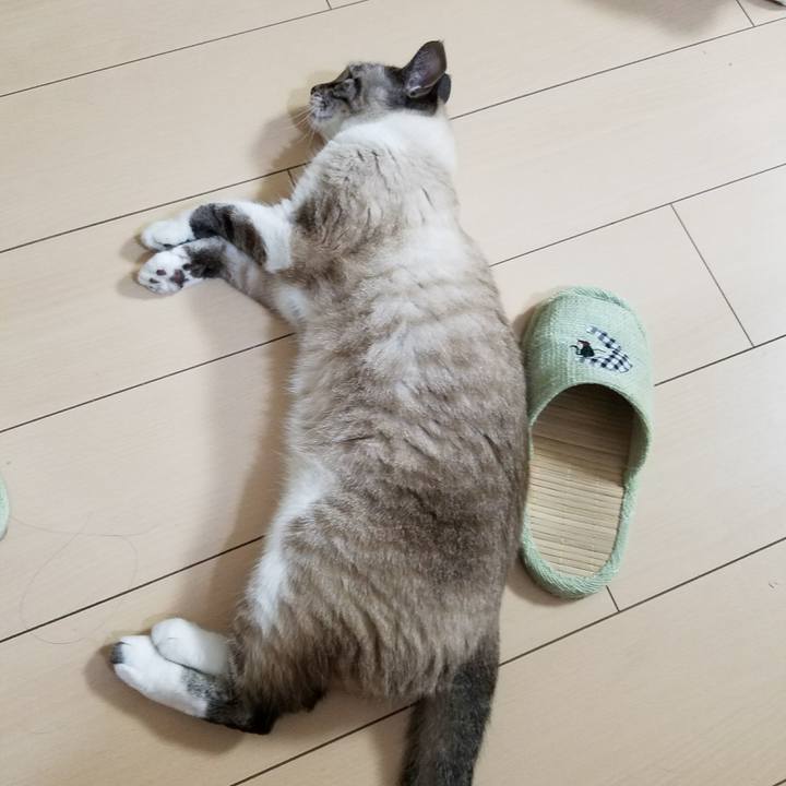 1266d81d ca0f 4e52 842a 057473f1f5c7