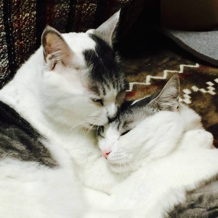 126795a5 a087 4bc4 9688 88c9f0ca7431