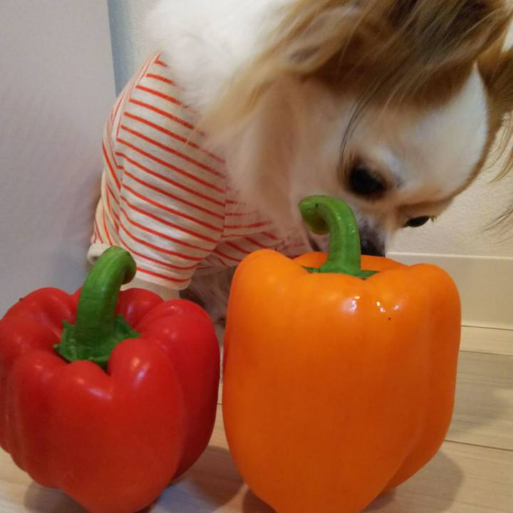 1267c33e 1e55 4d5b 9b84 f720ad096422