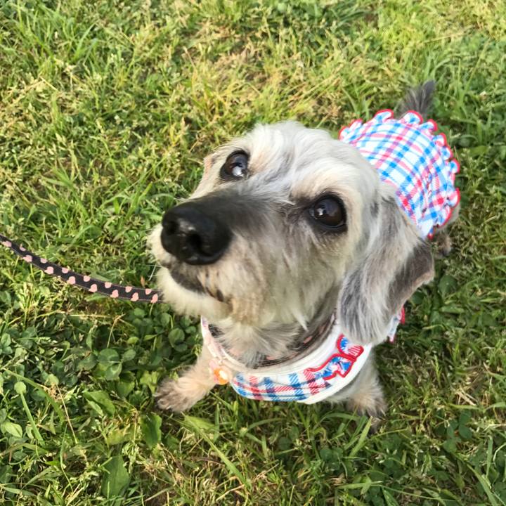 1267d62c cb0a 4d6e a5ce 33533977e6bc