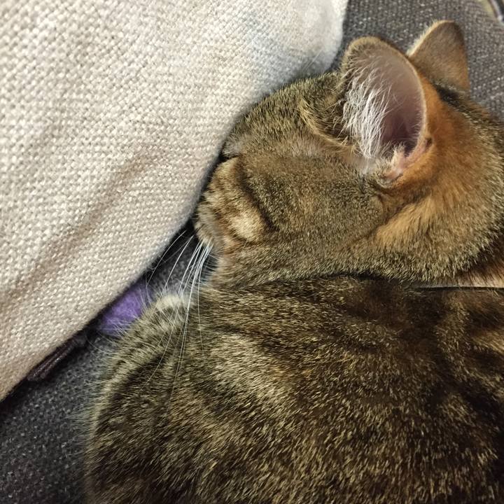 12684525 d034 4efb 8d38 eb7bae68fc15