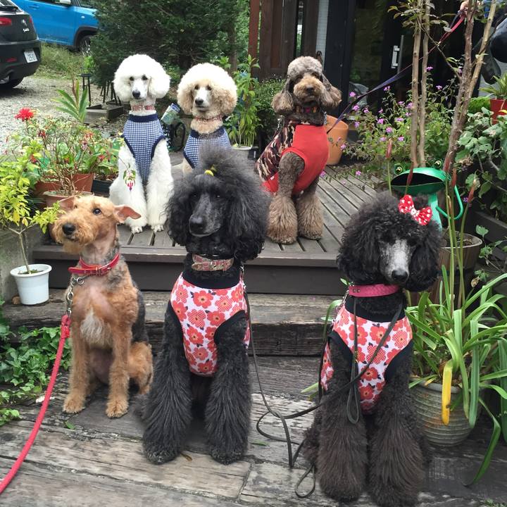 126850ac af14 4297 97c1 bd8e20f910c3