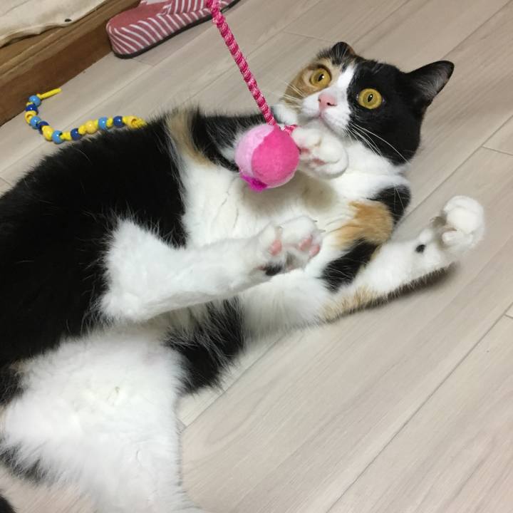 12685aa8 d97c 48e5 8614 9f75d660a4d9