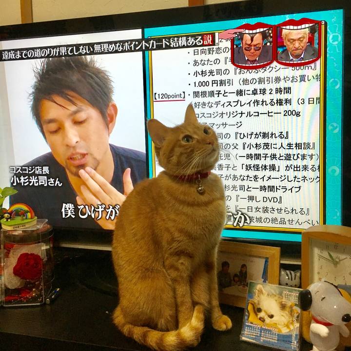 126862bb 6cd7 4714 9b41 9aadf54f9c7d