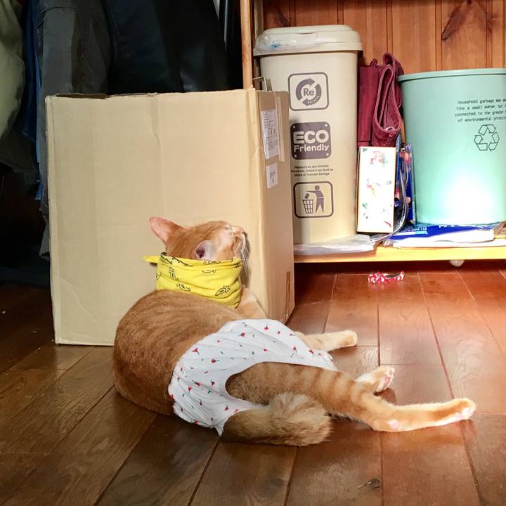 12688ab0 de03 46a9 a381 86e92f493215