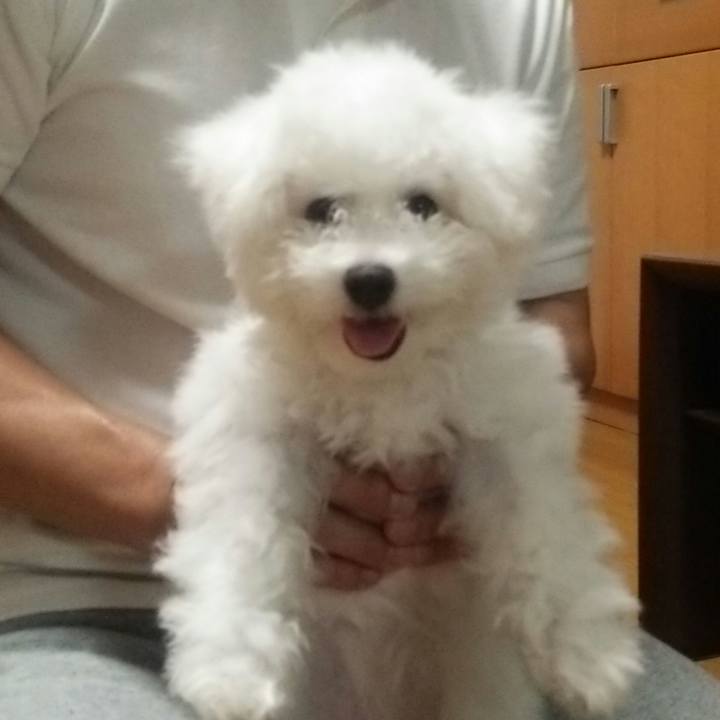 12689d61 fe2b 4a50 867c f2070c7da7dc