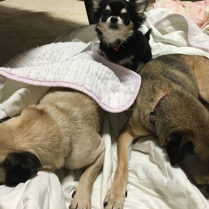 1268c2bb 8812 49fb 84d6 1e678b6f10bd