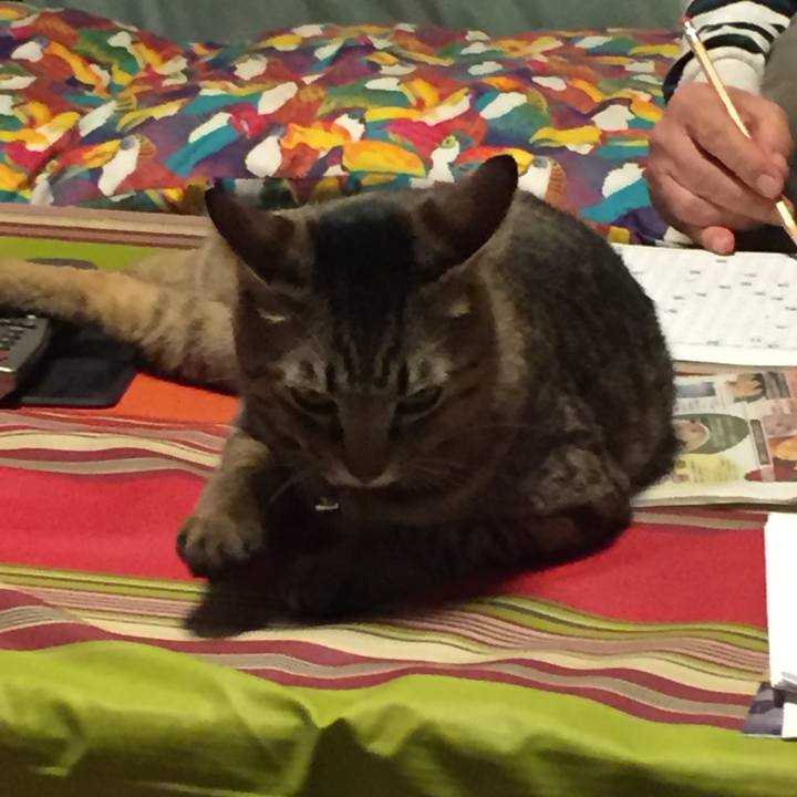 12690e1a 7361 4306 a51c 71ef32c156fc