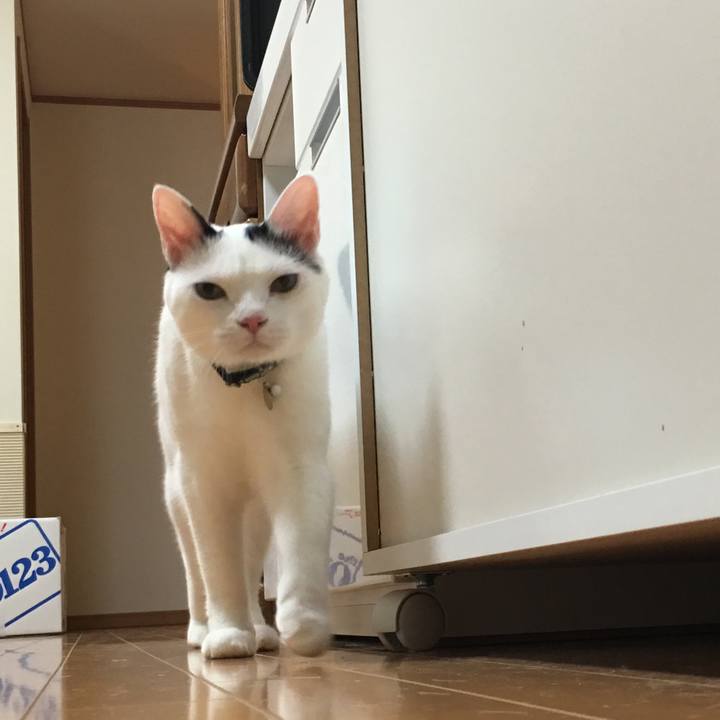 126921fb 42ae 465a b60d f32f0111c988