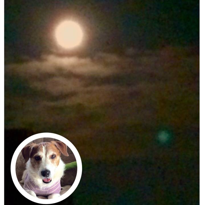 12698efd 15fa 44ff a450 fea11361bf9b