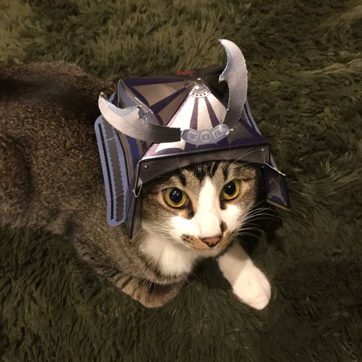 126a2497 ea32 483a b306 b1a49b1a8e13