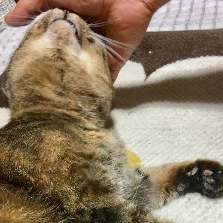 126af8ca e521 425e bdcf 4dc0da8b657a