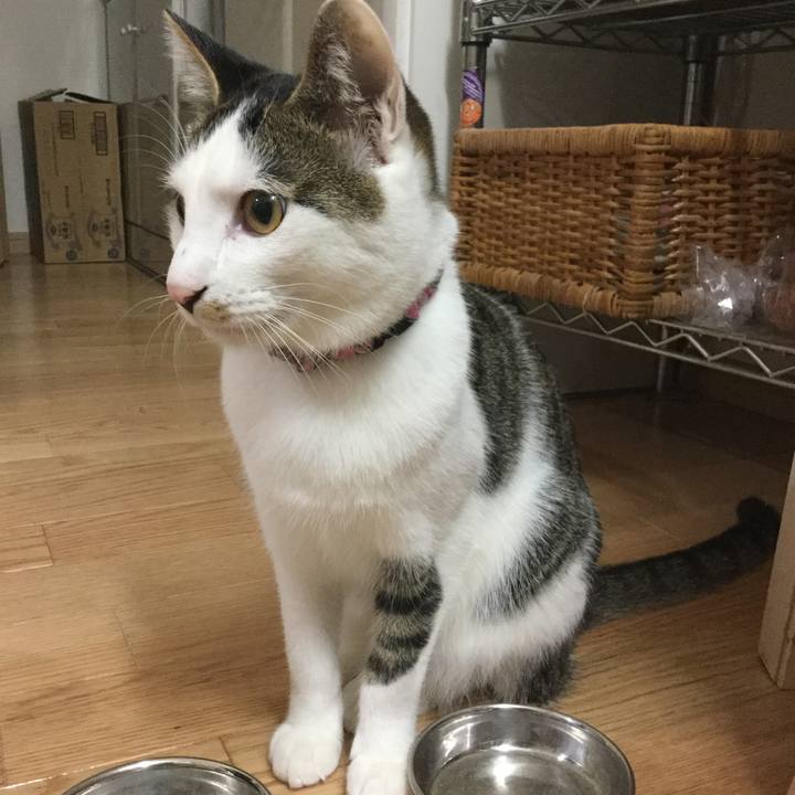 126b3f64 47c4 4409 b66e 17f575a6fffb