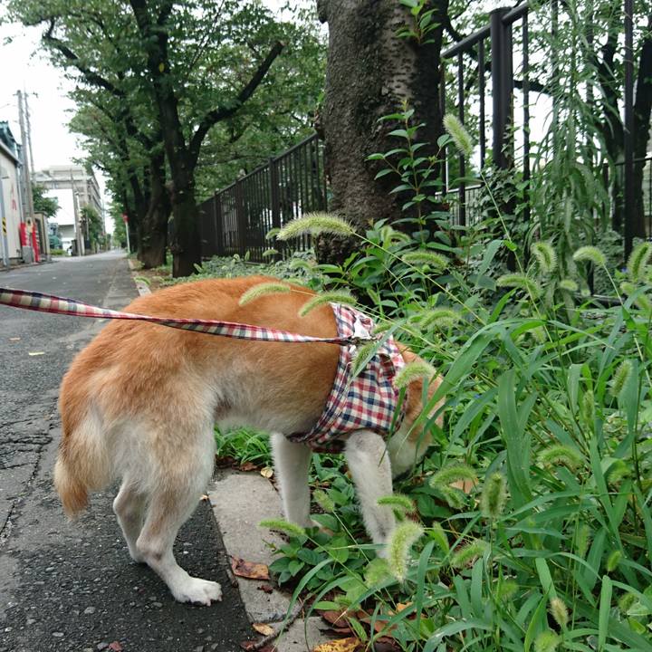 126c63df 774b 4de6 bbec 9d54a1b9fa62