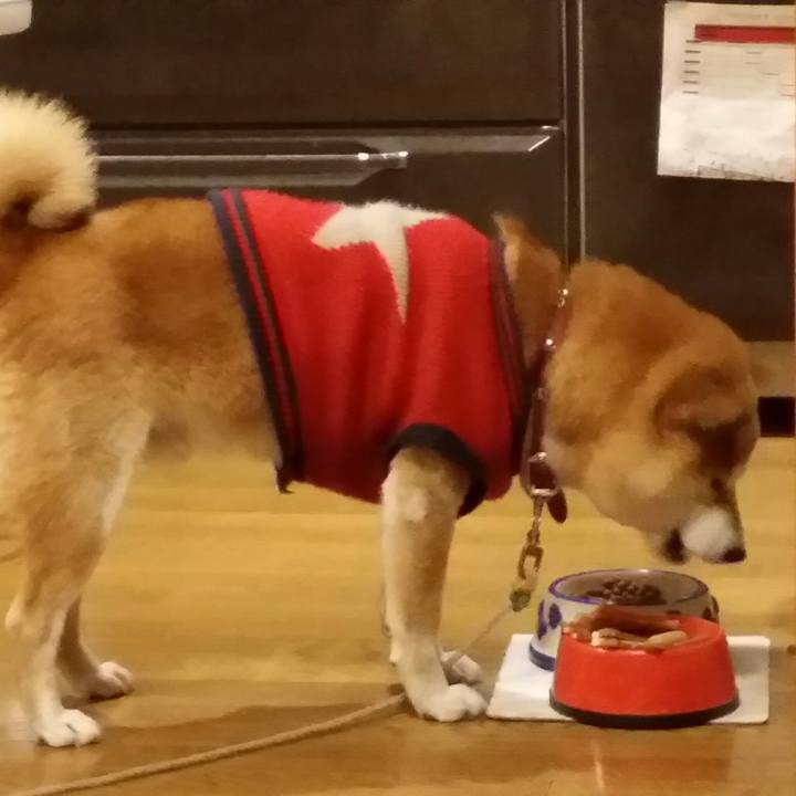 126d46ab 424c 4bb9 84c7 ca9536300cd3