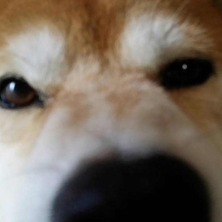 126daa9e c066 4447 a566 da59174e5d7e