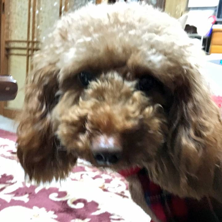 126ecc56 dba6 430b 8653 0e488a58a885