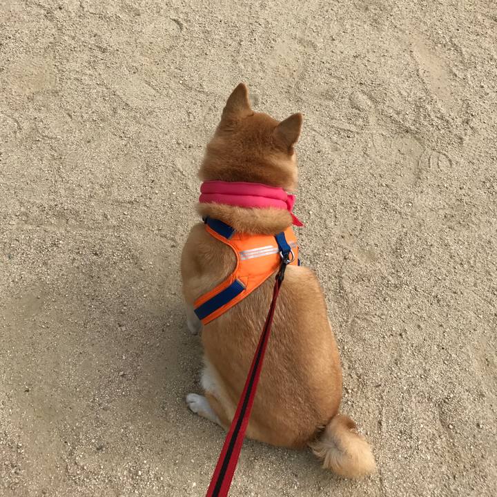 126efd27 adc6 4792 aade 7868d661eb8b