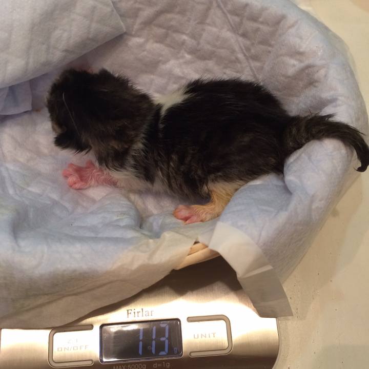 126f3eb9 8235 4f1e 98c2 4cee93642080