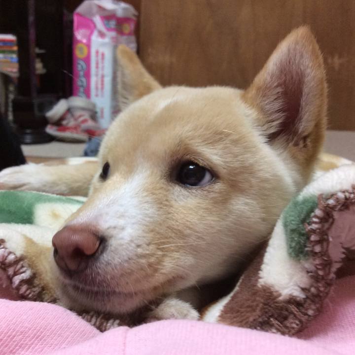 126fb02a 0374 4a47 bc42 b7b7dc00a7c5