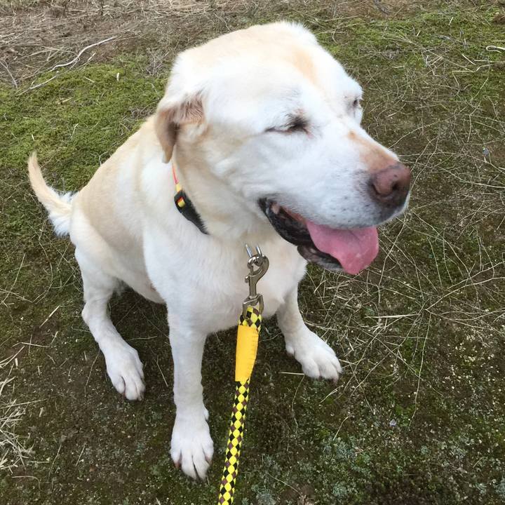 126fb267 bee1 4554 84a7 7937700aa9aa