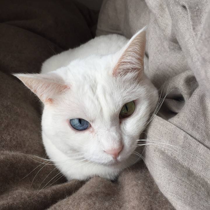 12705388 1aee 4960 89a9 9ce75a6e9e60