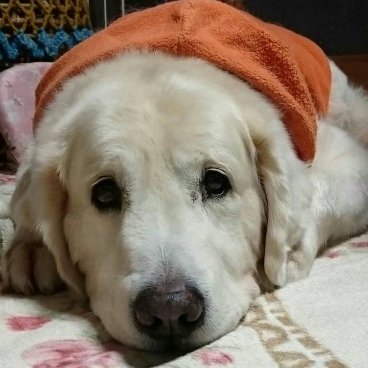 1270e131 17a3 4c19 bbd4 04712c92b051