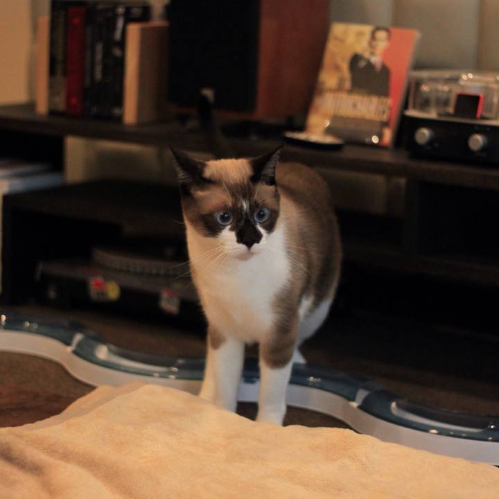 1270f0e9 4172 43e8 91e3 c8f0d3b6f89c