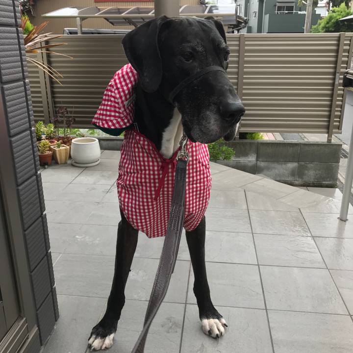 1271b356 7426 4cc4 abe5 e0e33eaa433c