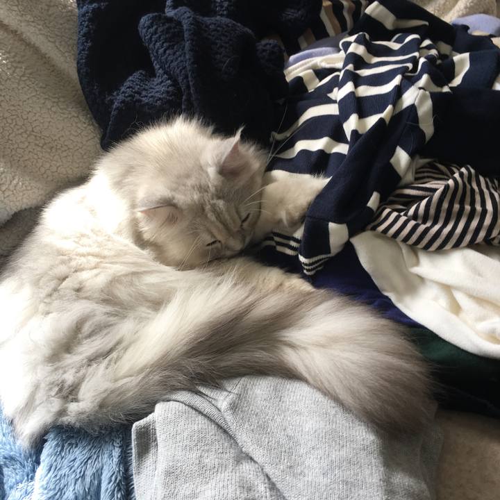 12724fcf 9f70 436c bc02 a4cba17c23e2