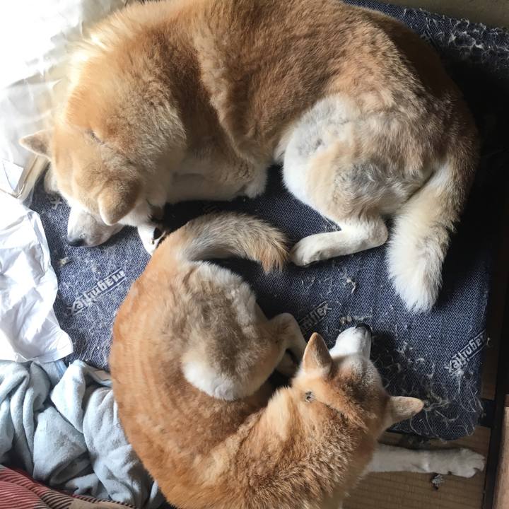 127275f9 f60b 460c 9666 c2186736c0a1