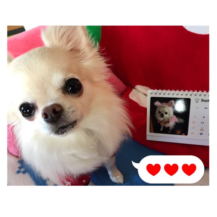 1272fdca 40be 4348 acf2 77803a939709