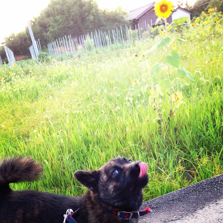 12733107 a672 4fc8 b651 ec0474955a46