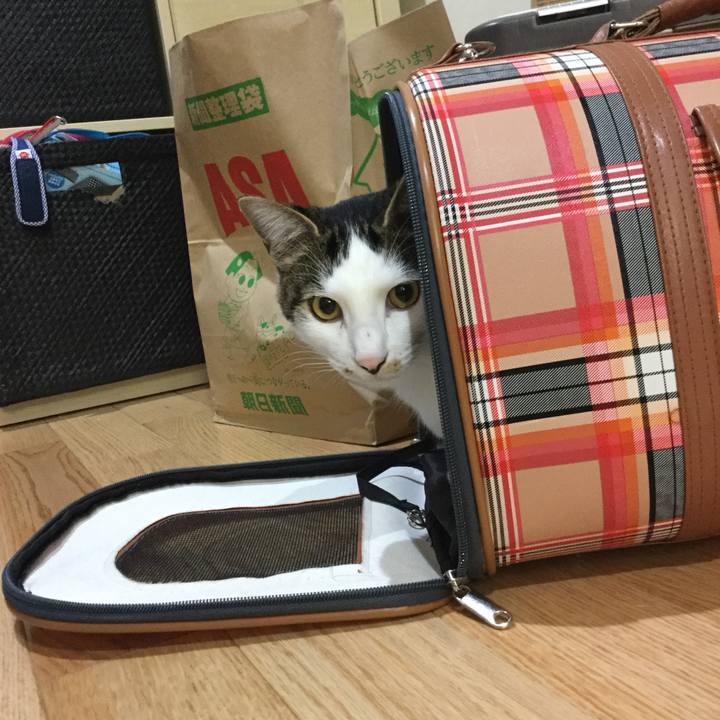 12733fb7 537a 4521 a756 4d79434fc47d