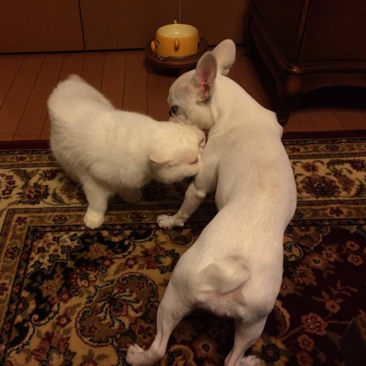 12734cc3 0d68 4b27 bae1 d12418da5e6f